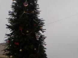 В Южном районе Каменского торжественно открыли новогоднюю елку
