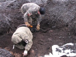 Поисковики АИВИН «Плацдарм» обнаружили останки 25 советских солдат