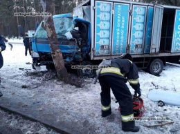 ДТП в Киеве: на Старообуховской трассе грузовик ISUZU врезался в электроопору - травмирован водитель. ФОТО