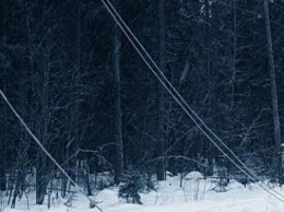 В четырех населенных пунктах Черниговской области за ночь «сдуло» электричество
