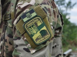 Возле Яворовского полигона во Львовской области нашли тело военного