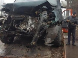 ДТП в Кривом Роге: После лобового столкновения иномарку выбросило на дерево. Трое пострадавших (ФОТО)