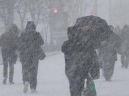 Во Львовской области прошел сильный снегопад: без электричества остались 229 населенных пунктов
