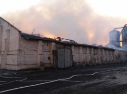 В Николаевской области произошел масштабный пожар