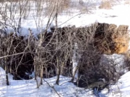 Из-за затопленных шахт на Донбассе начала проваливаться земля