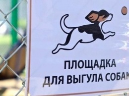 В Киеве обустроили 35 площадок для выгула домашних животных