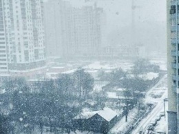 Харьков засыпало снегом: какую погоду ждать харьковчанам