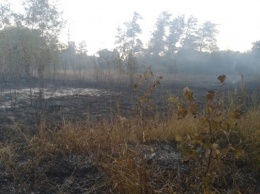 На Херсонщине пожарные тушили сухую траву и мусор