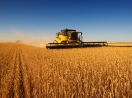 Днепропетровщина может стать лидером по сбору зерновых культур
