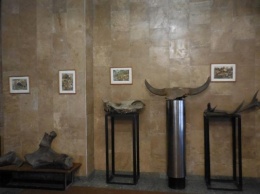В музее истории Каменского открылась выставка степных реликвий
