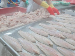 Пожалуйста, не покупайте эту рыбу вообще никогда! Она продается везде, но ее надо запретить!