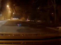 В Николаеве девушка уснула посреди дороги (видео)