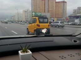 В Киеве заметили самый дешевый автомобиль в мире