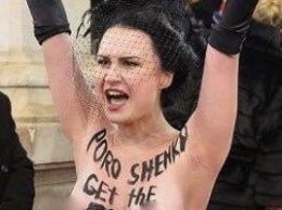 "Голая провокация": Активистку Femen на Венский бал привел посол РФ в Австрии