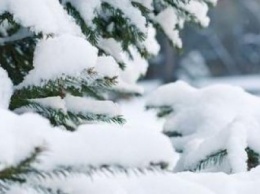 Харьковчанам пообещали морозный вторник и потепление с четверга