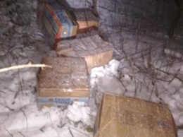 Пограничники на границе с Россией нашли ящики с 300 кило сыра
