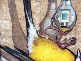 Птицы на стенах Киева: ТОП-5 муралов с изображением пернатых