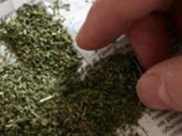 В Сумах иностранец пытался убедить полицию, что использует наркотики в качестве специй