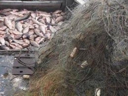 В Запорожье браконьер наловил сетями целую лодку рыбы, - ФОТО
