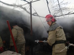 На юге Одесской области пожарные спасали дом от огня (фото)
