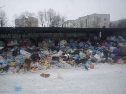 Дрогобыч в мусоре. Из города две недели не вывозят отходы из-за протестов жителей