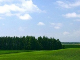 Запорожские громады получили в свое распоряжение от Кабмина земли сельхозназначения