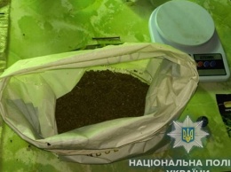 В Болграде обнаружена теплица с наркотиками