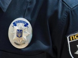 В Запорожской области пьяный дружинник ударил полицейского при исполнении: открыли уголовное дело