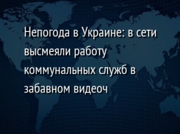 Непогода в Украине: в сети высмеяли работу коммунальных служб в забавном видеоч