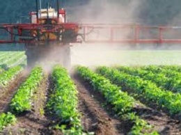 Monsanto назначил нового директора по производству семян в Украине