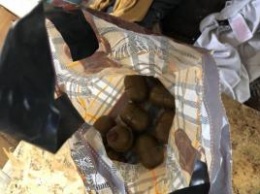 В палаточном городке под ВР найдены гранаты и "коктейли Молотова" - Шкиряк