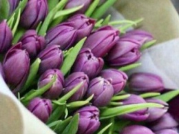 Букет к 8 марта: почем продают в Днепре цветы в преддверии праздника (ФОТО)