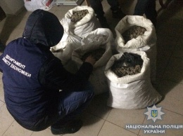 Полиция изъяла почти 140 кг янтаря на миллион гривен в Ровно