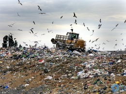 В Одессе за прошлый год волонтеры утилизировали 107 тонн отходов