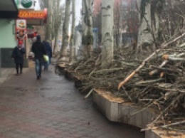 Славянск: тротуар улицы Центральной "огражден" ветками (фото)
