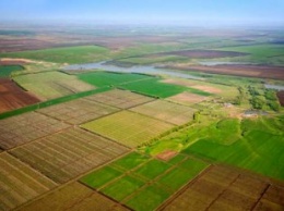 "Астарта" в 2018г планирует увеличить площади под кукурузой и подсолнечником