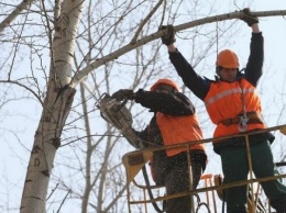 ЧП: Запорожские коммунальщики упали с вышки, обрезая деревья