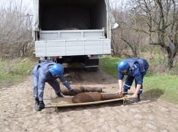 На Николаевщине спасатели уничтожили инженерную мину и 7 реактивных снарядов
