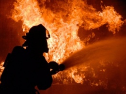 В Кирилловке заживо сгорел мужчина. Из-за Киевстара не смогли вызвать пожарных