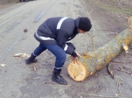 На Николаещине спасатели ликвидировали обломки деревьев на трассах, - ФОТО