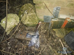 На Николаевщине охотник смастерил ловушку с помощью телефона, чтобы охотиться в заповеднике