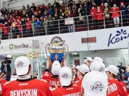 Хоккейный клуб "Донбасс" построит в Мариуполе две ледовых арены