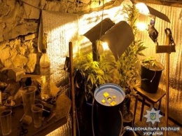 Северодончанин устроил нарколабораторию в подвале жилого дома (Фото)
