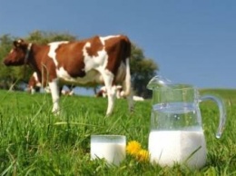 Белоруссия заключила контракты на поставку в Китай молочной продукции на $100 млн