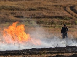Без шашлыков и фейерверков: в Крыму объявлена высокая пожароопасность