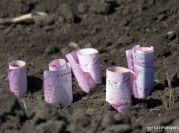 Одесские фермеры жалуются на произвол налоговиков: блокирование накладных угрожает посевной кампании