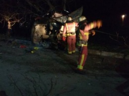 В Николаевской области автомобиль врезался в дерево: 1 погибший и 6 пострадавших