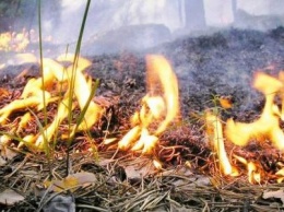 Николаевские спасатели призывают не провоцировать пожары на природе