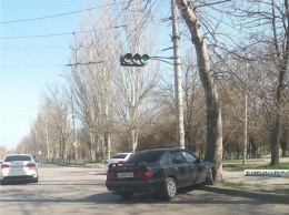 В Керчи автомобиль въехал в дерево