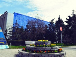 Весне дорогу: первые цветы заполнили клумбы Черноморска